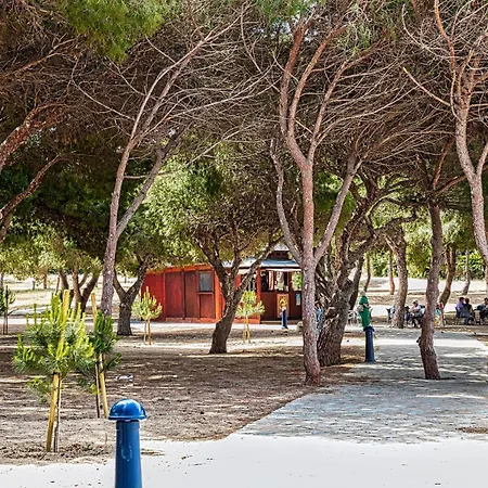 Apartmán Estudio Arpon Cala Del Pino *