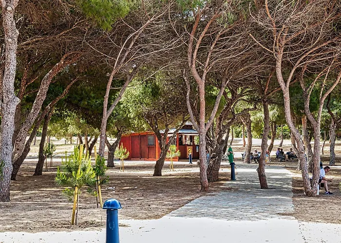 Апартаменты Estudio Arpon Cala Del Pino *